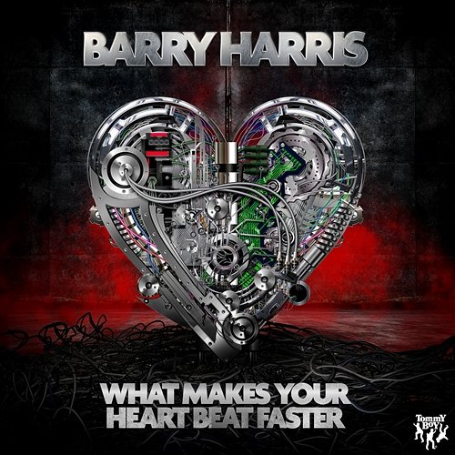 What Makes Your Heartbeat Faster Barry Harris