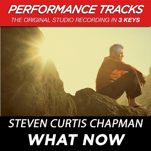 What Now Steven Curtis Chapman