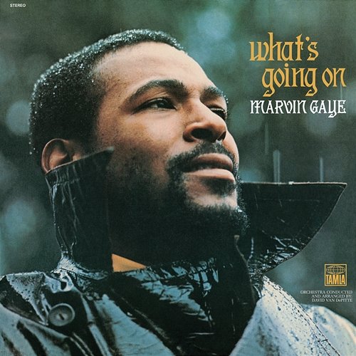 Chained Marvin Gaye