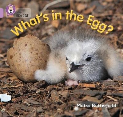 What's in the Egg? Butterfield Moira