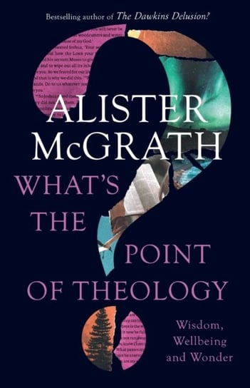 What's the Point of Theology?: Wisdom, Wellbeing and Wonder Alister McGrath