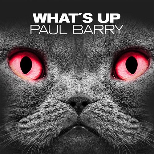What´s Up Barry, Paul