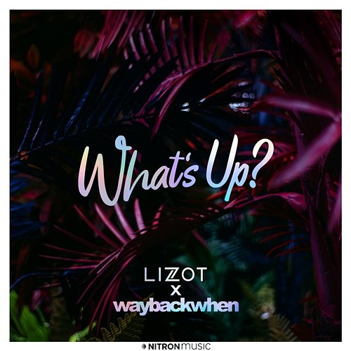 What's Up? LIZOT x waybackwhen