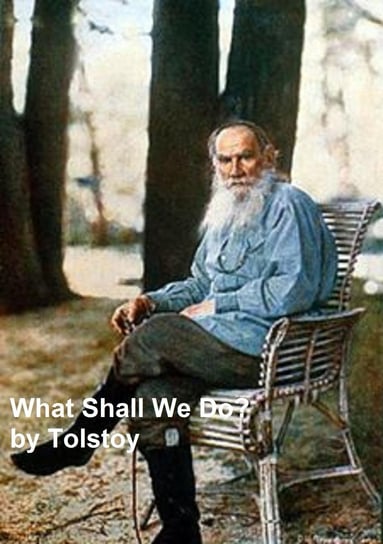 What Shall We Do? Tolstoy Leo