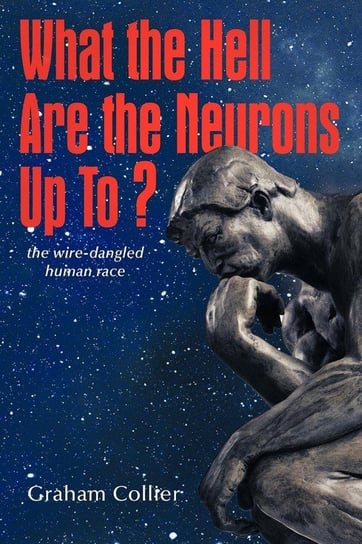 What the Hell are the Neurons Up To? Collier Graham
