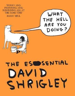 What The Hell Are You Doing?: The Essential David Shrigley Shrigley David
