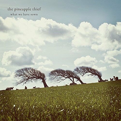 What We Have Sown The Pineapple Thief