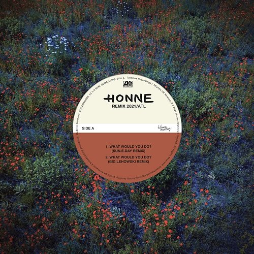 WHAT WOULD YOU DO? HONNE feat. Pink Sweat$