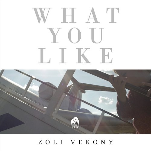 What You Like Zoli Vekony