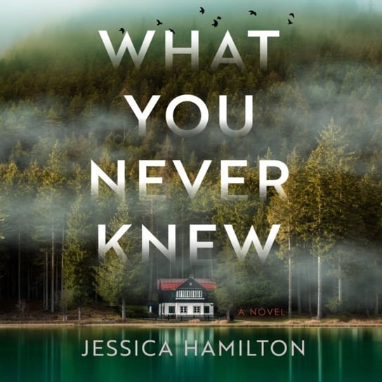 What You Never Knew Jessica Hamilton, Sarah Mollo-Christensen, Laura Jennings