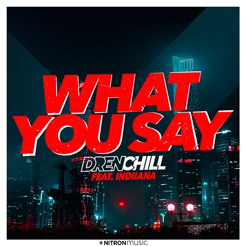 What You Say Drenchill feat. Indiiana