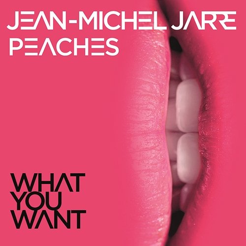 What You Want Jean-Michel Jarre & Peaches