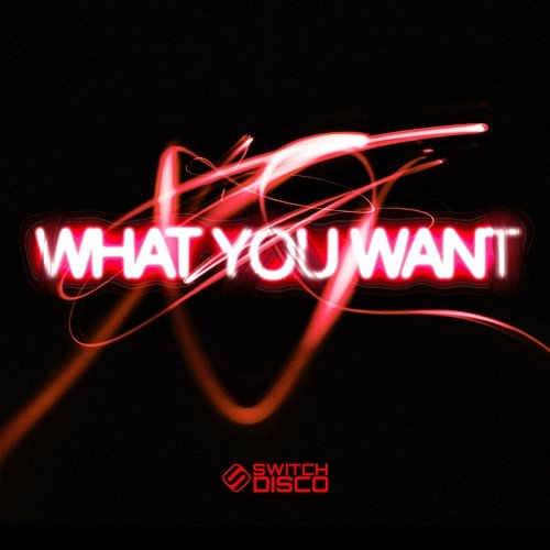 WHAT YOU WANT Switch Disco