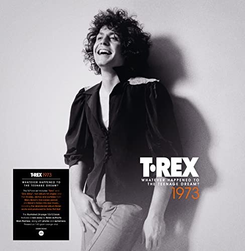 Whatever Happened To The Teenage Dream? (1973) (Orange) T. Rex