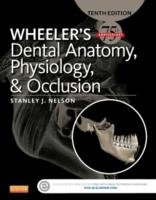 Wheeler's Dental Anatomy, Physiology and Occlusion Nelson Stanley J.