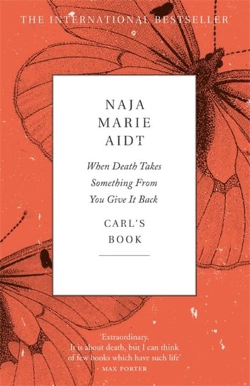 When Death Takes Something From You Give It Back Marie Naja Aidt
