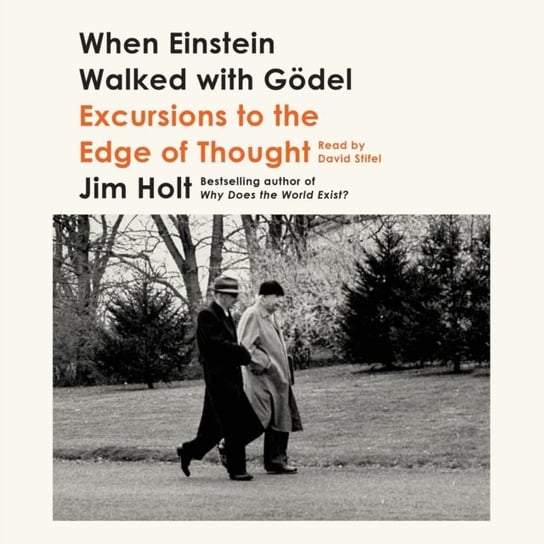 When Einstein Walked with Godel Holt Jim