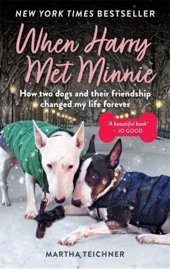 When Harry Met Minnie. An unexpected friendship and the gift of love beyond loss Martha Teichner