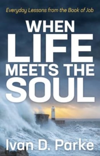 When Life Meets the Soul: Everyday Lessons from the Book of Job Morgan James Publishing llc