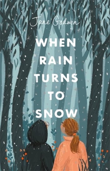 When Rain Turns to Snow Jane Godwin