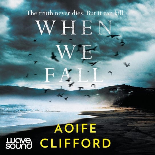 When We Fall Aoife Clifford
