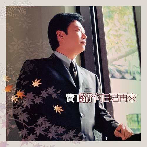 When Will You Come Again Fei Yu-Ching