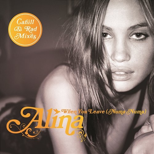 When You Leave (Numa Numa) [Remixes Part 2] Alina