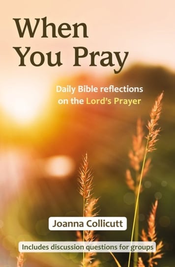 When You Pray: Daily Bible reflections on the Lords Prayer Joanna Collicutt