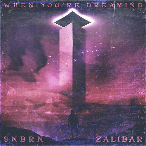 When You're Dreaming SNBRN, Zalibar