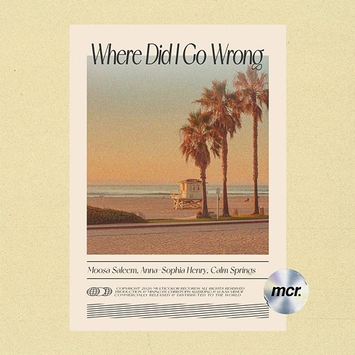 Where Did I Go Wrong Anna-Sophia Henry, Moosa Saleem, Calm Springs