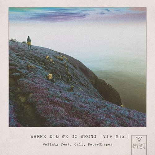 Where Did We Go Wrong PaperShapes, Wallaby feat. Cali