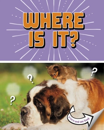 Where Is It?: A Turn-and-See Book Cari Meister