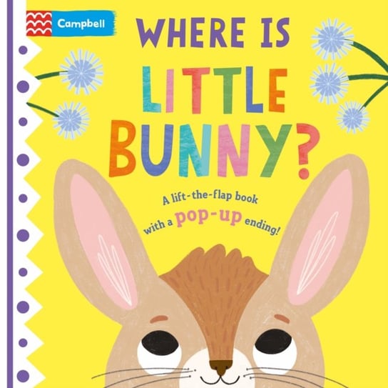 Where is Little Bunny?: The lift-the-flap book with a pop-up ending! Books Campbell