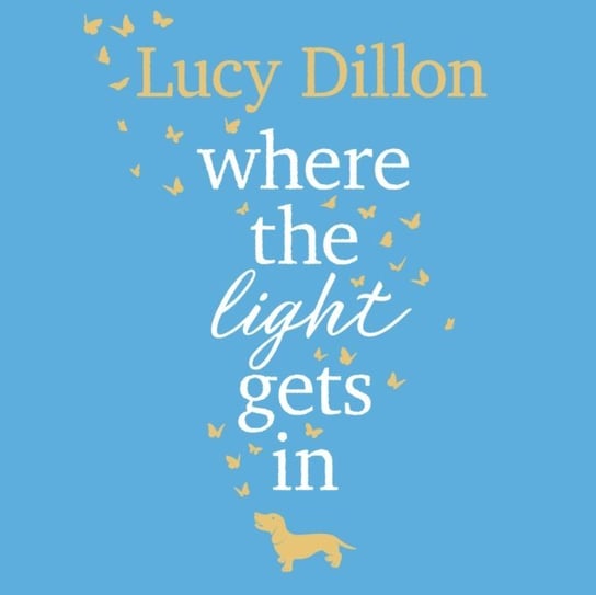 Where The Light Gets In Dillon Lucy