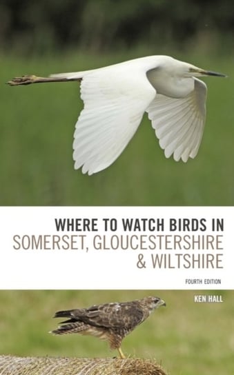 Where To Watch Birds in Somerset, Gloucestershire and Wiltsh Hall Ken