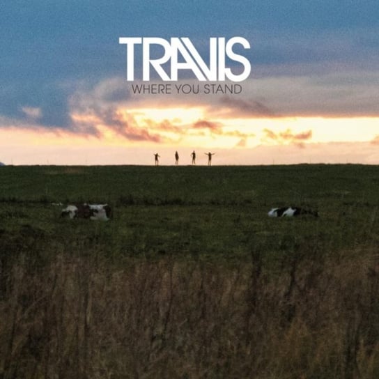 Where You Stand, płyta winylowa Travis