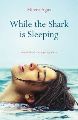 While the Shark is Sleeping Agus Milena