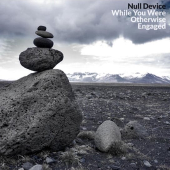 While You Were Otherwise Engaged Null Device