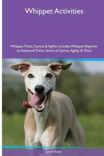 Whippet  Activities Whippet Tricks, Games & Agility. Includes Knox Gavin