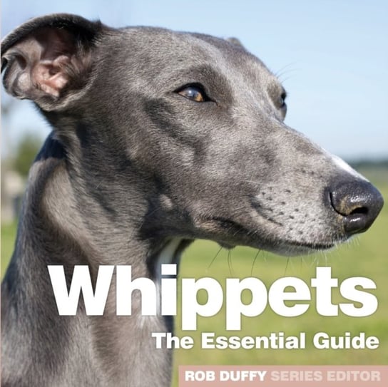 Whippets: The Essential Guide Rob Duffy