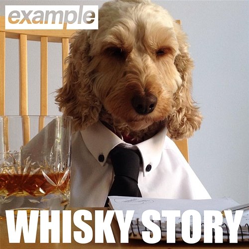 Whisky Story Example