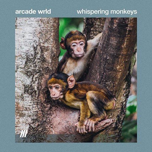 Whispering Monkeys Yokomeshi & Disruptive LoFi, Arcade Wrld