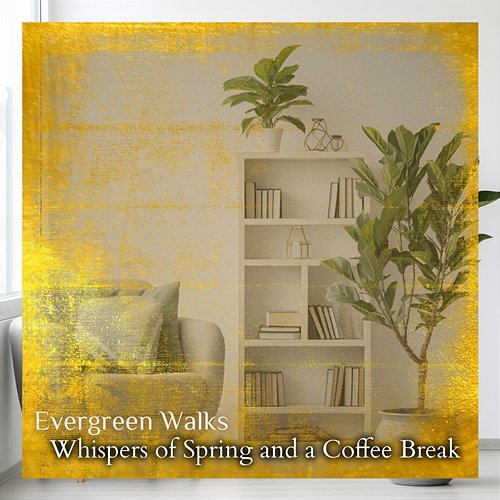 Whispers of Spring and a Coffee Break Evergreen Walks