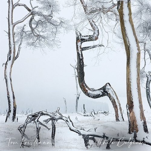 White Belgium Tom Kristiaan