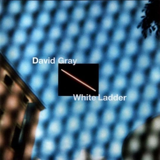 White Ladder Gray David