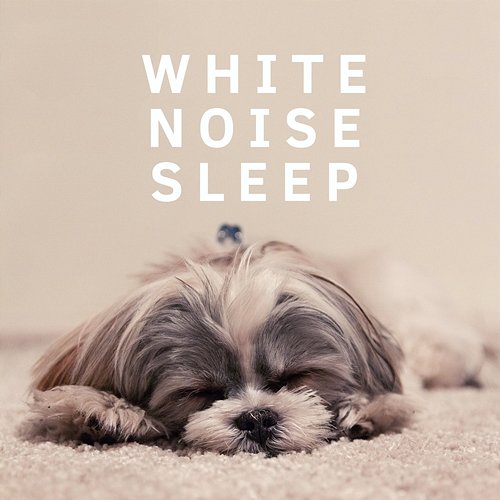 White Noise Sleep - loopable, without fade White Noise Guru