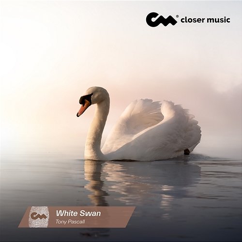 White Swan Tony Pascall
