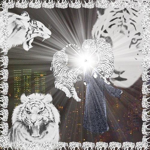 White Tiger 2hollis