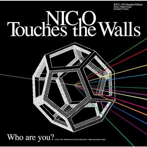 Who are you? Nico Touches The Walls