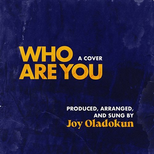 Who Are You Joy Oladokun